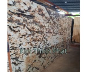 Mẫu đá hoa cương tự nhiên granite